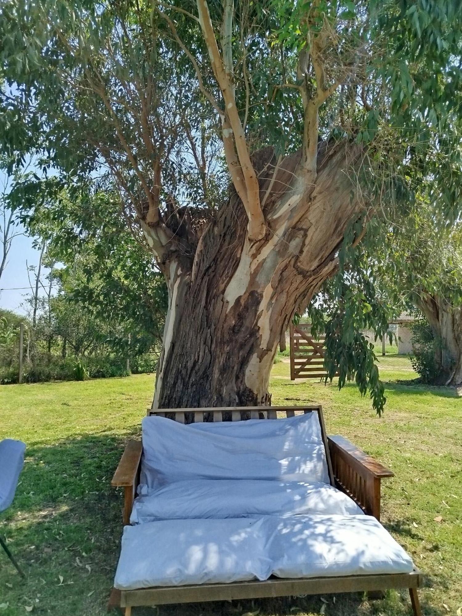 Holiday home La Francisca San Miguel del Monte