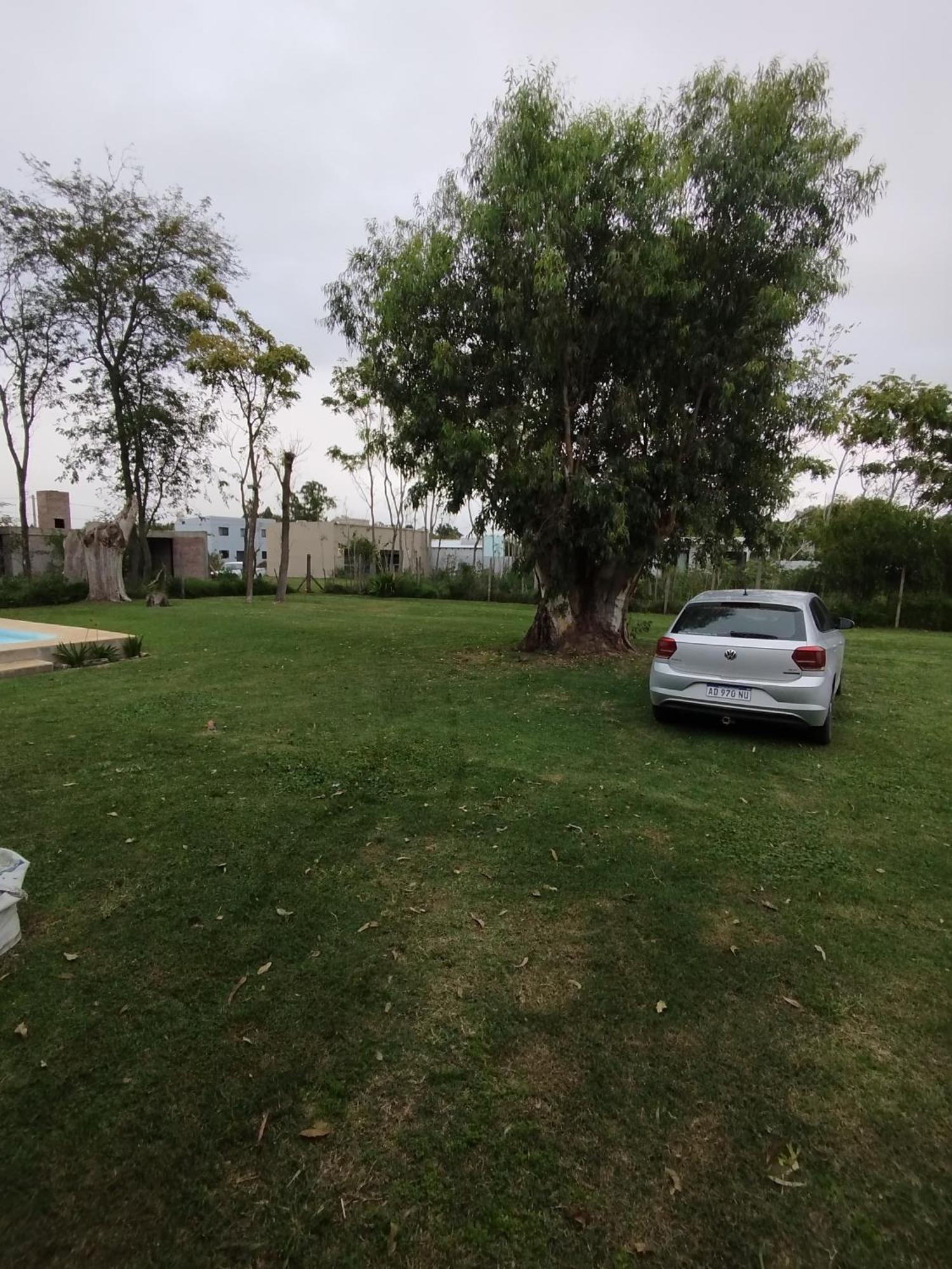 La Francisca
